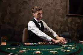 Player interface on suntoto slot Live Game Shows suntoto slot player dashboard during live show with betting interface